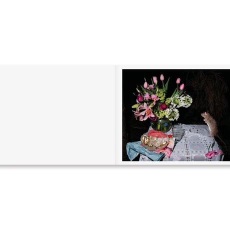 PLATES I-XXXI / Lia Darjes
