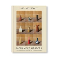 MORANDI'S OBJECTS. THE COMPLETE ARCHIVE OF CASA MORANDI / Joel Meyerowitz