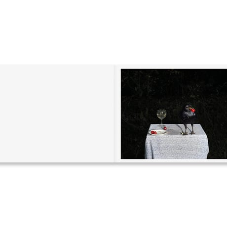 PLATES I-XXXI / Lia Darjes