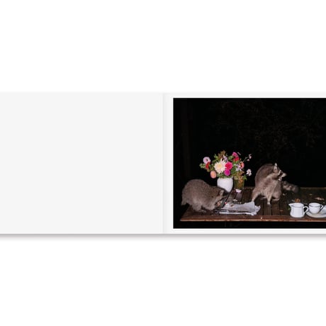 PLATES I-XXXI / Lia Darjes