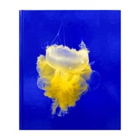 Pulmo Marina / Aurelien Froment
