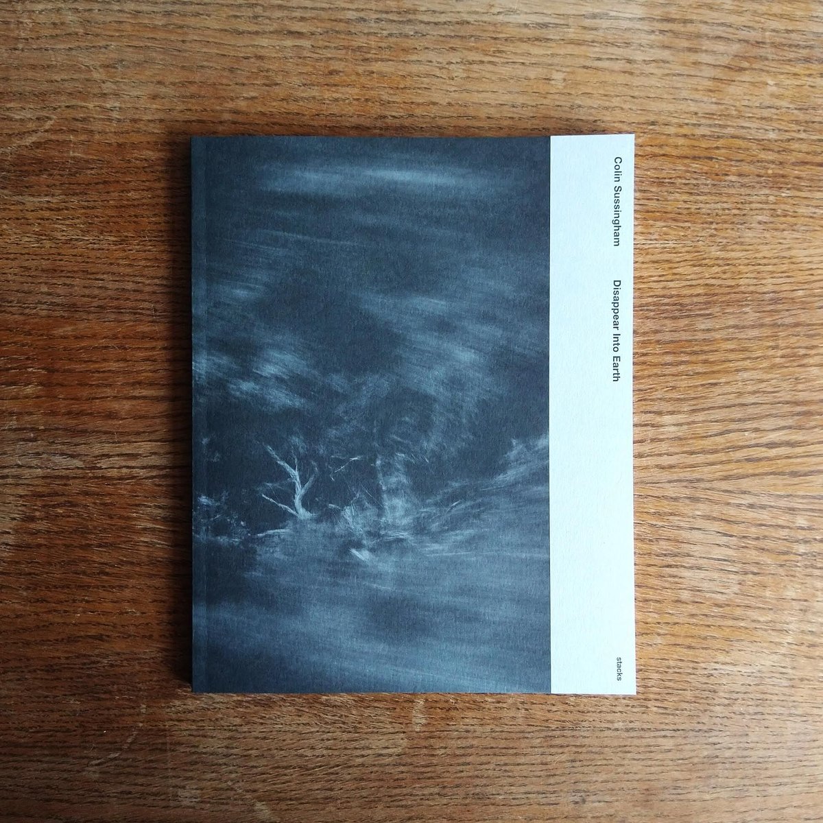 Disappear Into Earth / Colin Sussingham | READA