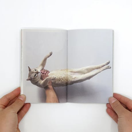 This Is Not My Cat / ホンマタカシ【サイン入】
