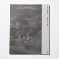 Disappear Into Earth / Colin Sussingham