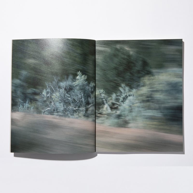 Disappear Into Earth / Colin Sussingham | READA