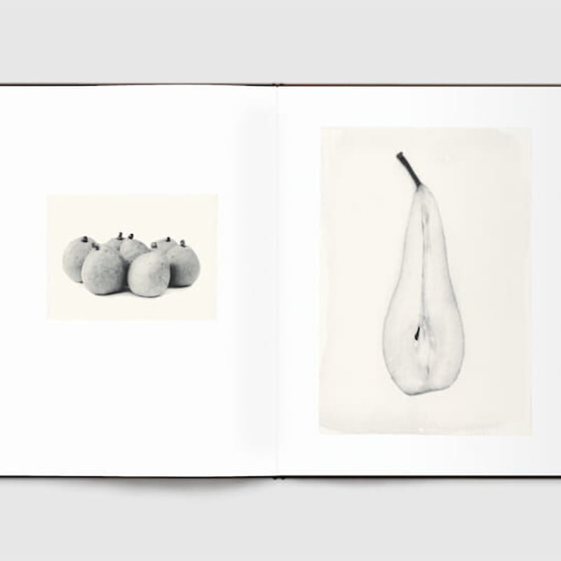 TIME IN AIR, TIME IN PAPER / 森田幸子 | READAN DEAT