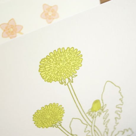Dutch Botanical Postcard