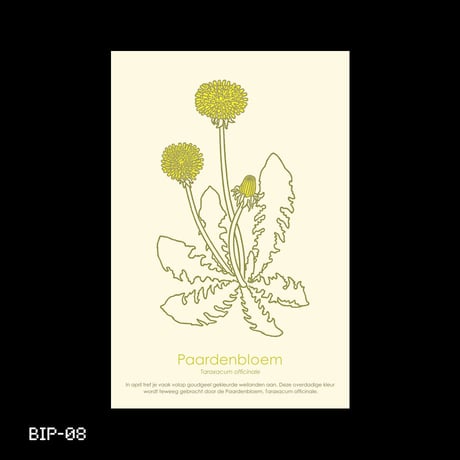 Dutch Botanical Postcard