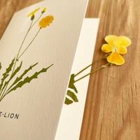French Botanical Greeting Card