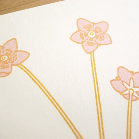 Dutch Botanical Postcard