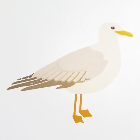 Bird Illustration Poster with Cardboard