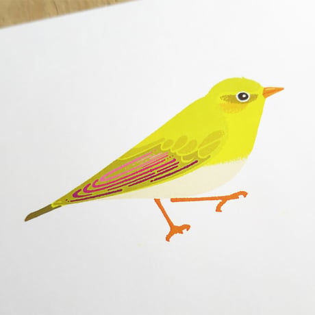 Bird Illustration Poster with Cardboard