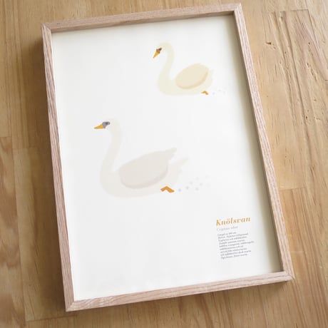 Bird Illustration Poster with Wooden Frame