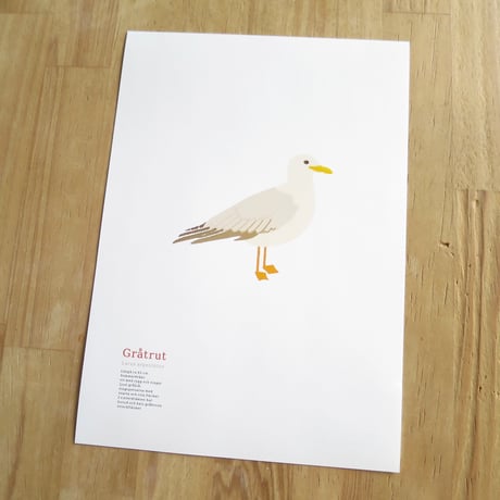 Bird Illustration Poster with Cardboard