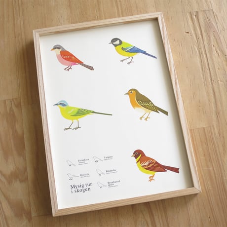 Bird Illustration Poster with Wooden Frame