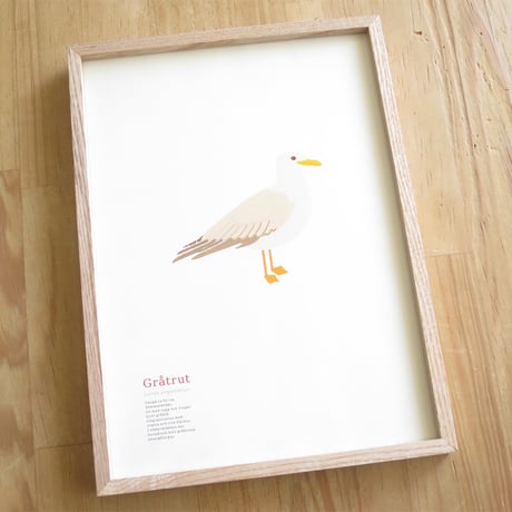 Bird Illustration Poster with Wooden Frame