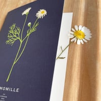 French Botanical Greeting Card