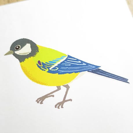 Bird Illustration Poster with Cardboard