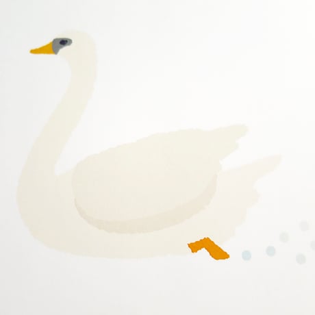 Bird Illustration Poster with Cardboard