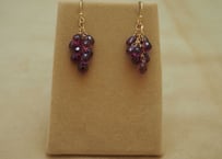 Rhordrite Garnet Prism Earrings(d/ｃ)