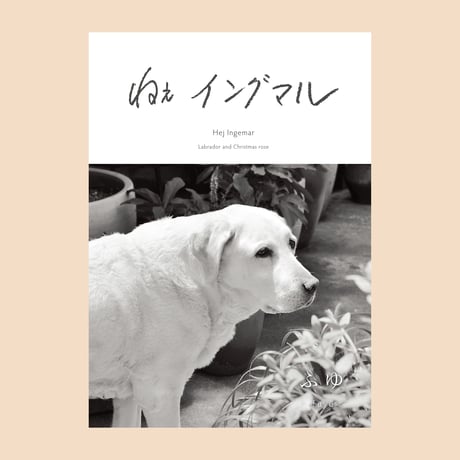 ねぇ イングマル【ZINE】