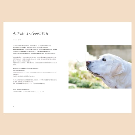 ねぇ イングマル【ZINE】
