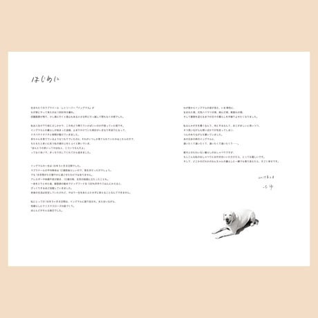 ねぇ イングマル【ZINE】