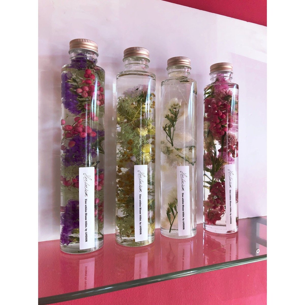 errer 香水瓶 白い小さな花 標本 ハーバリュウム 植物標本 アンティーク errer 香水瓶 白い小さな花 標本 ハーバリュウム 植物標本