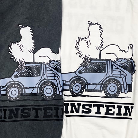 SLEEP EINSTEIN GARMENT-DYE Tshirts