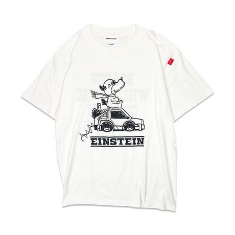 FLYING EINSTEIN Tshirts