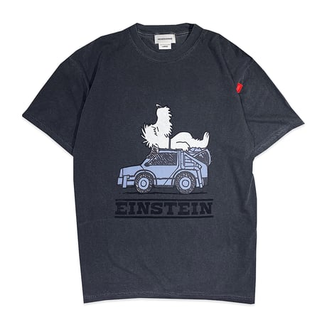 SLEEP EINSTEIN GARMENT-DYE Tshirts