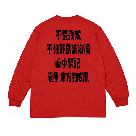 A計劃LONGSLEEVE Tshirts