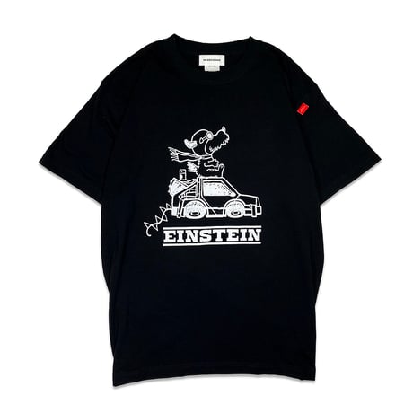 FLYING EINSTEIN Tshirts