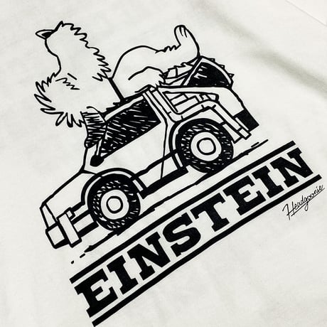 SLEEP EINSTEIN Tshirts