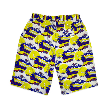 FLYING TRAIN WATERPROOF PANTS