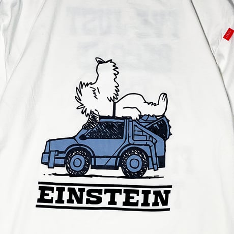 SLEEP EINSTEIN GARMENT-DYE Tshirts
