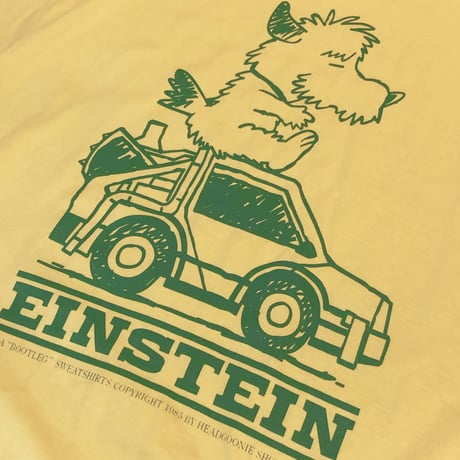 EINSTEIN T-shirts