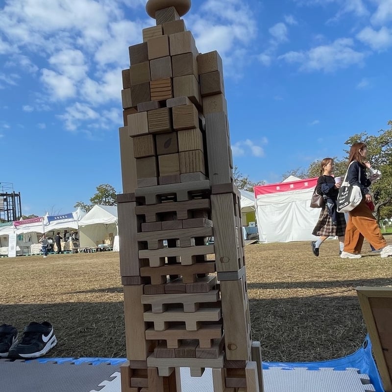 もりのめぐみ「四角い積み木」32個（16樹種×2）ｾｯﾄ 樹種で神経衰弱が