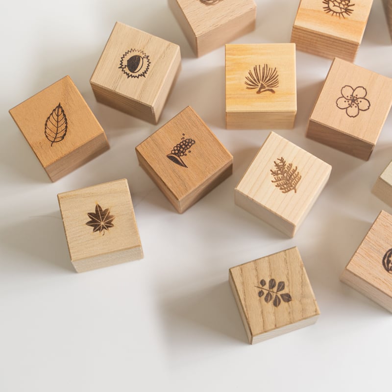 もりのめぐみ「四角い積み木」16個（16樹種）ｾｯﾄ | Ki na li.