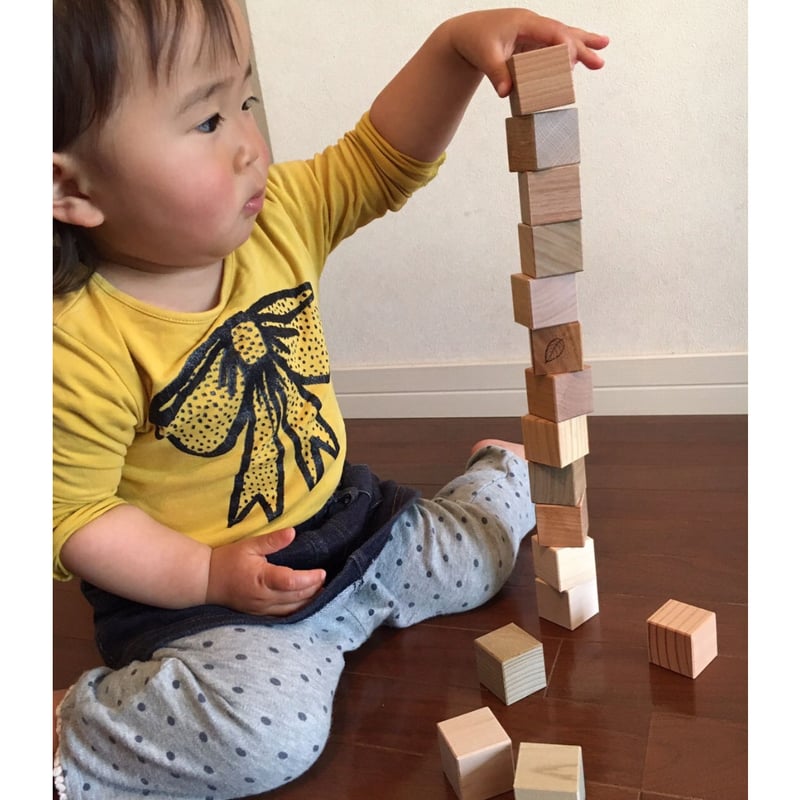 もりのめぐみ「四角い積み木」16個（16樹種）ｾｯﾄ | Ki na li.