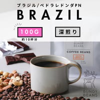 100g 【ブラジル ペドラレドンダPN】 深煎り