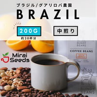 200g 【ブラジル グアリロバ農園 アラーラ】 中煎り