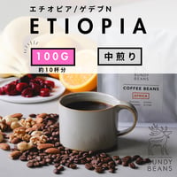100g 【エチオピア ウォルカ サカロN】浅煎り