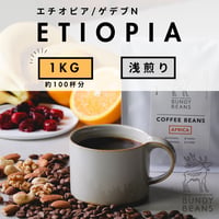 1000g 【エチオピア ウォルカ サカロN】浅煎り