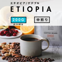 200g 【エチオピア ウォルカ サカロN】浅煎り