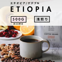 500g 【エチオピア ウォルカ サカロN】浅煎り