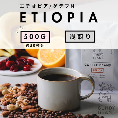 500g 【エチオピア ウォルカ サカロN】浅煎り