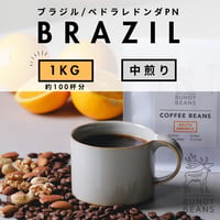 1000g 【ブラジル ペドラレドンダPN】 中煎り