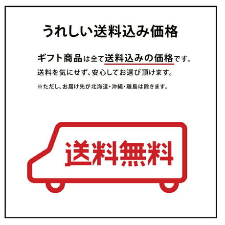 【無添加無着色 アイスコーヒー 2本セット】 アイスコーヒー2本ギフト