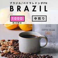 100g 【ブラジル ペドラレドンダPN】 中煎り